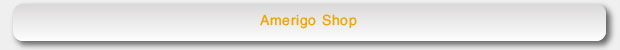 Zebra Landing footers amerigo shop 1