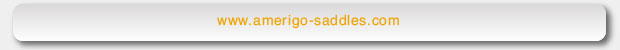 Zebra Landing footers landing page footers amerigo 1