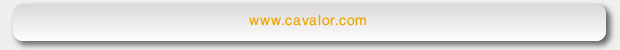Zebra Landing footers landing page footers cavalor 1