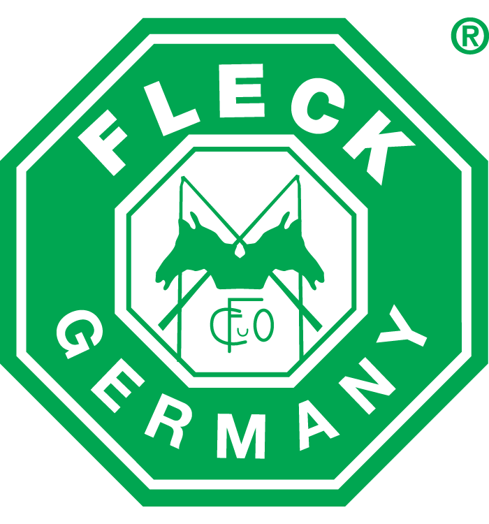 Fleck Log mit R